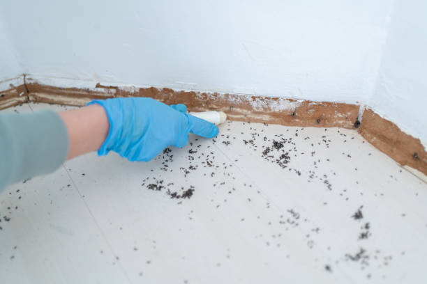 Best Bed Bug Extermination  in Troy Hills, NJ